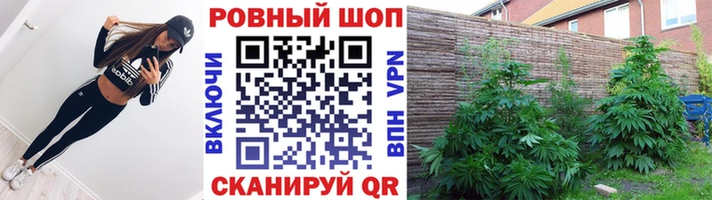 Купить наркотики сайты Остров ГАШИШ  АМФ  Меф  Марихуана  Кокаин 