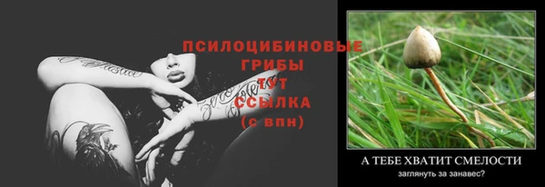 трава Абаза