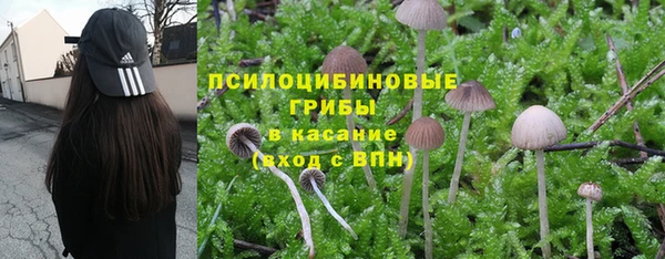 трава Абаза
