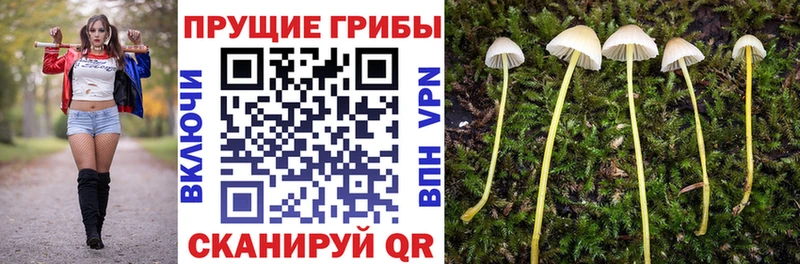 блэк спрут ONION  магазин продажи наркотиков  Остров  Галлюциногенные грибы GOLDEN TEACHER 